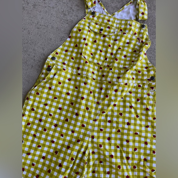 Duluth Trading Co womens wild card cotton canvas bibs overalls ladybug gingham - Picture 5 of 7